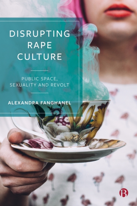 Cover image for book Disrupting Rape Culture