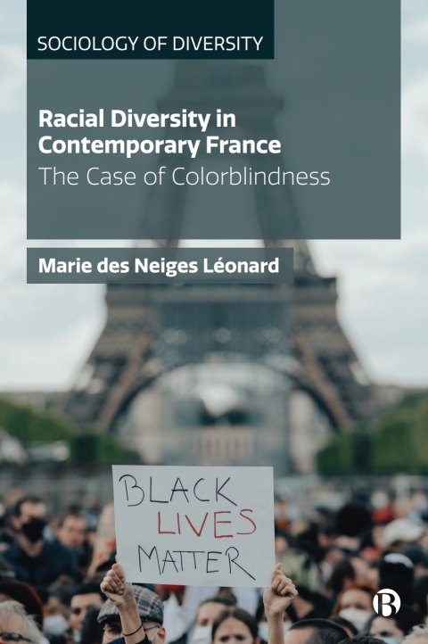 Cover image for book Racial Diversity in Contemporary France