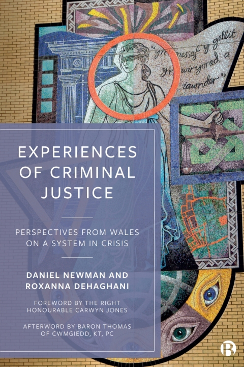 Cover image for book Experiences of Criminal Justice