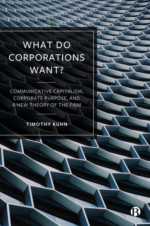 Cover image for book What Do Corporations Want?
