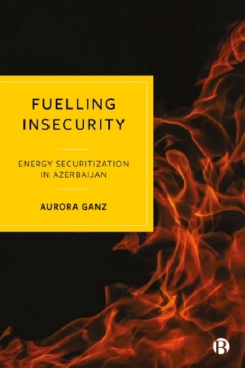 Cover image for book Fuelling Insecurity