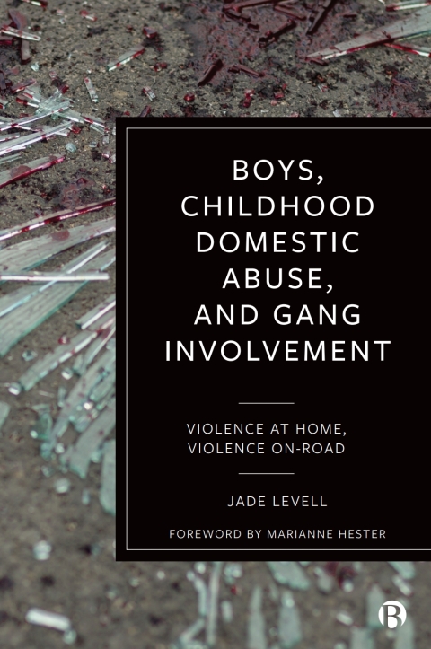 Cover image for book Boys, Childhood Domestic Abuse and Gang Involvement