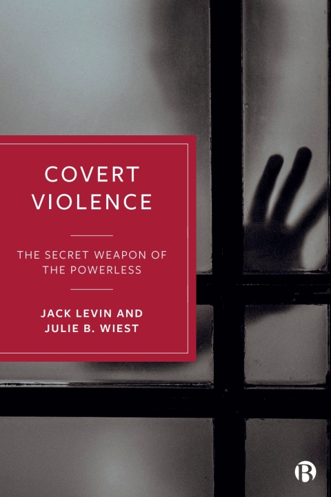Cover image for book Covert Violence