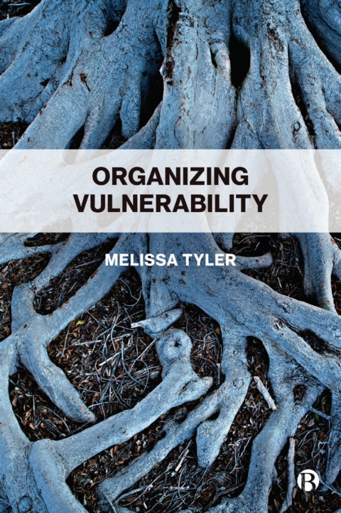 Cover image for book Organizing Vulnerability