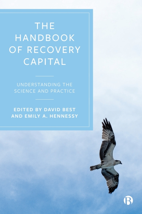 Cover image for book The Handbook of Recovery Capital
