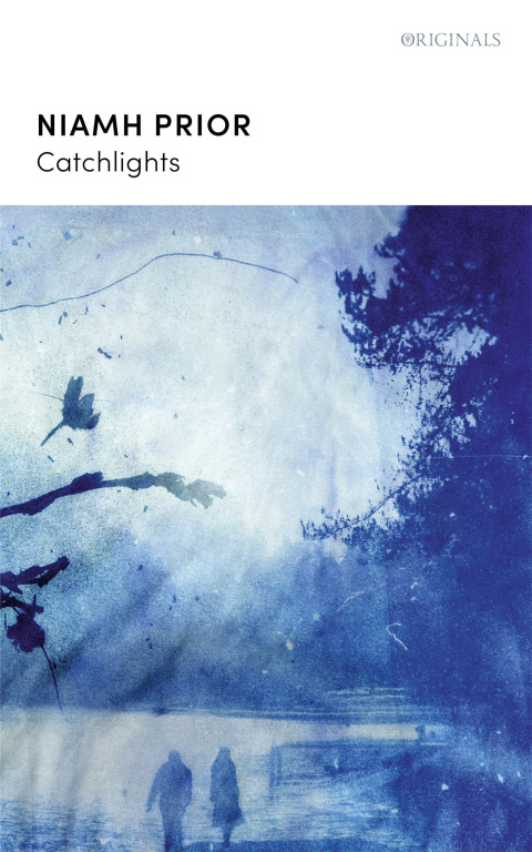 Cover image for book Catchlights