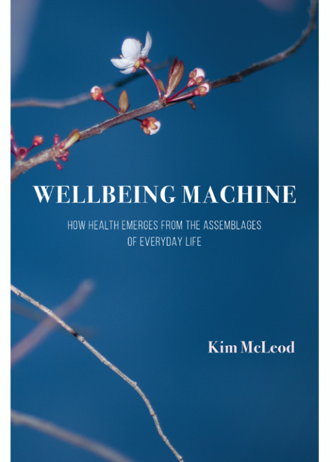 Cover image for book Wellbeing Machine: How Health Emerges from the Assemblages of Everyday Life
