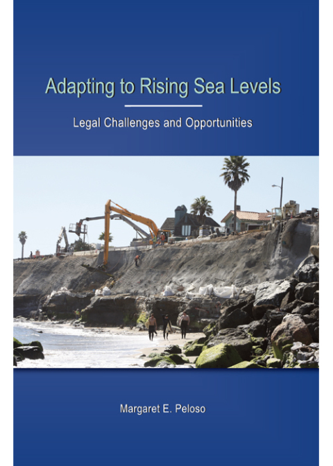 Cover image for book Adapting to Rising Sea Levels: Legal Challenges and Opportunities