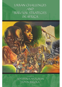 Cover image: Urban Challenges and Survival Strategies in Africa 1st edition 9781531000608