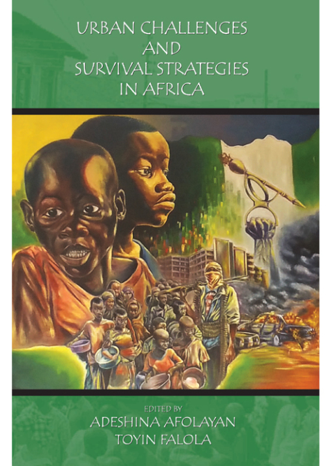 Cover image for book Urban Challenges and Survival Strategies in Africa