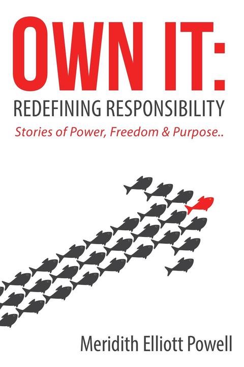 Cover image for book Own It