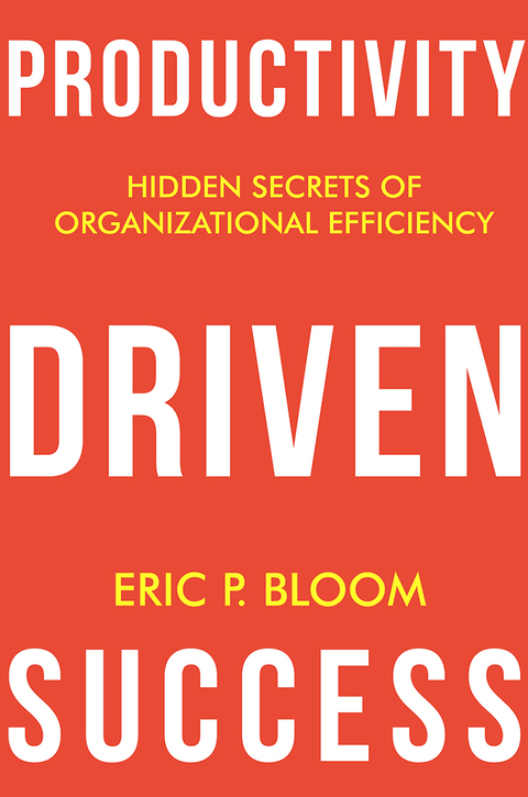 Cover image for book Productivity Driven Success