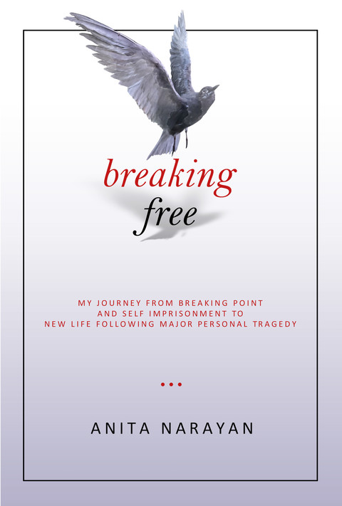 Cover image for book Breaking Free