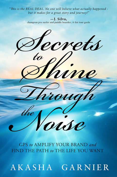 Cover image for book Secrets to Shine Through the Noise