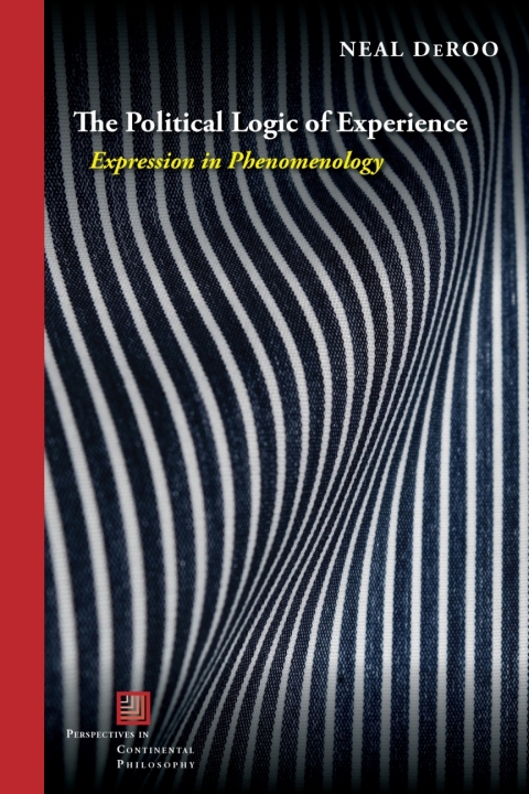 Cover image for book The Political Logic of Experience