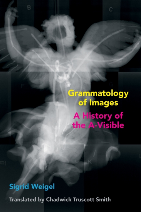 Cover image for book Grammatology of Images