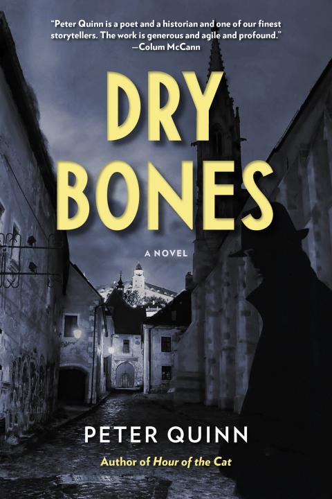Cover image for book Dry Bones