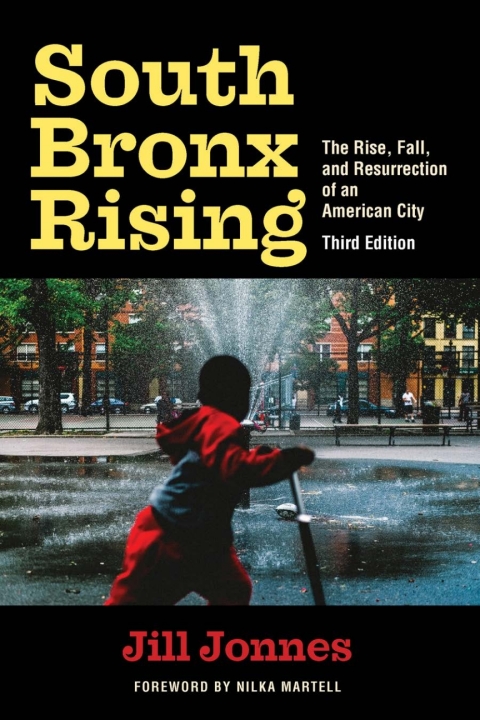 Cover image for book South Bronx Rising