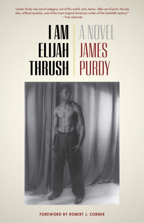 Cover image for book I Am Elijah Thrush