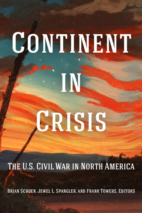Cover image for book Continent in Crisis