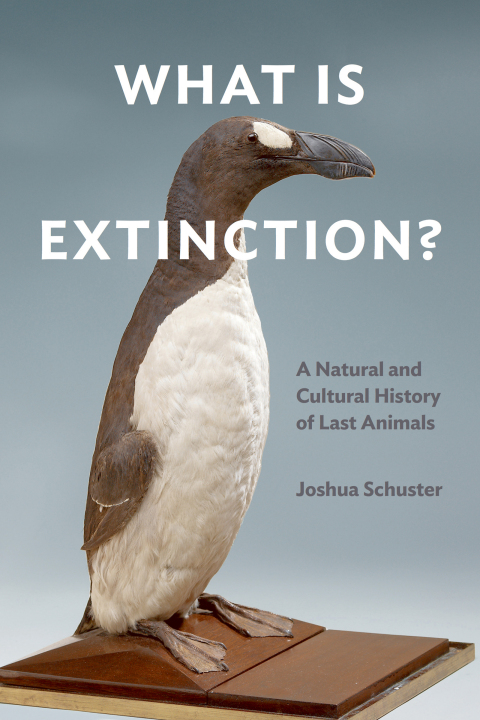 Cover image for book What Is Extinction?