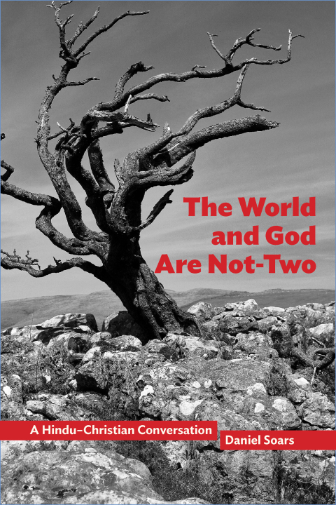Cover image for book The World and God Are Not-Two