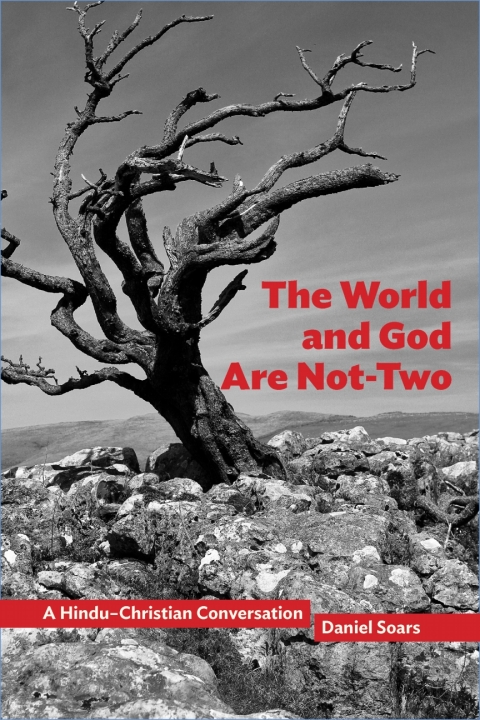 Cover image for book The World and God Are Not-Two