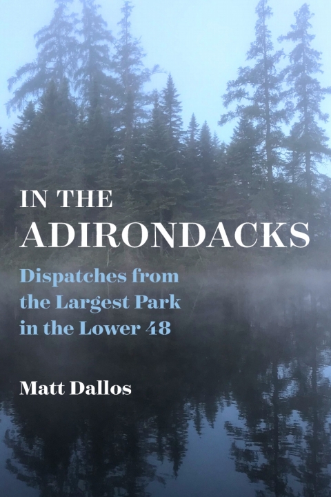 Cover image for book In the Adirondacks