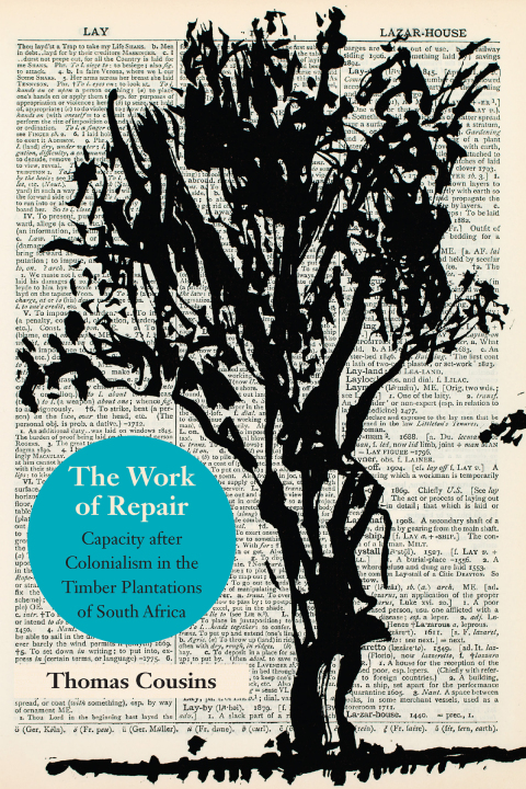 Cover image for book The Work of Repair