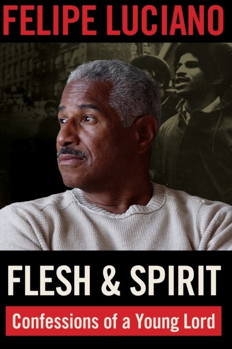 Cover image for book Flesh and Spirit