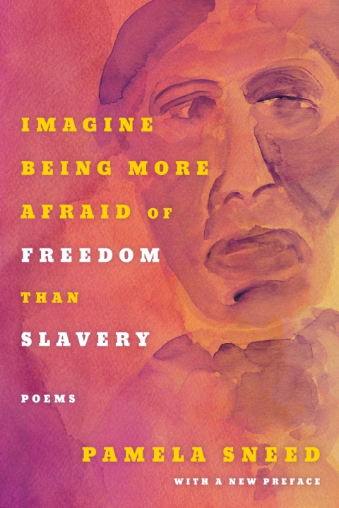 Cover image for book Imagine Being More Afraid of Freedom than Slavery