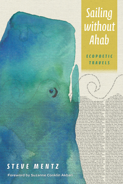 Cover image for book Sailing without Ahab