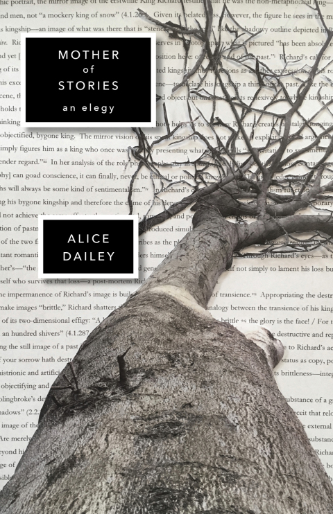Cover image for book Mother of Stories