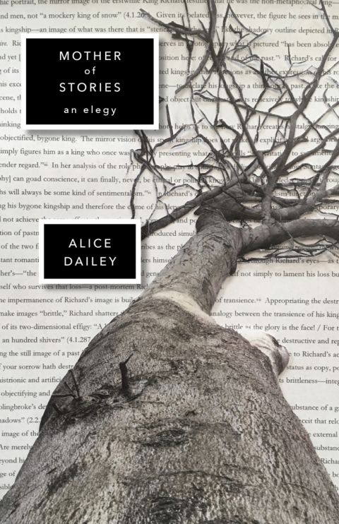 Cover image for book Mother of Stories
