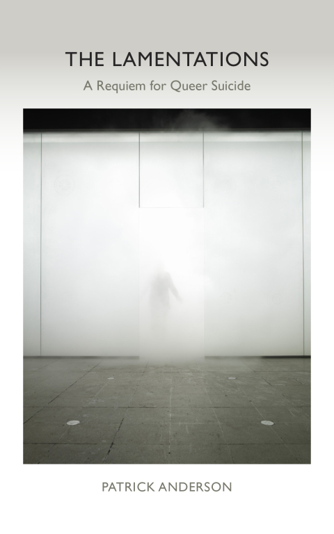 Cover image for book The Lamentations