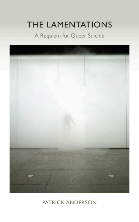 Cover image for book The Lamentations