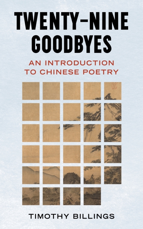 Cover image for book Twenty-Nine Goodbyes