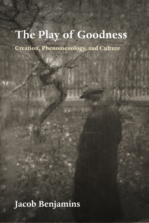 Cover image for book The Play of Goodness
