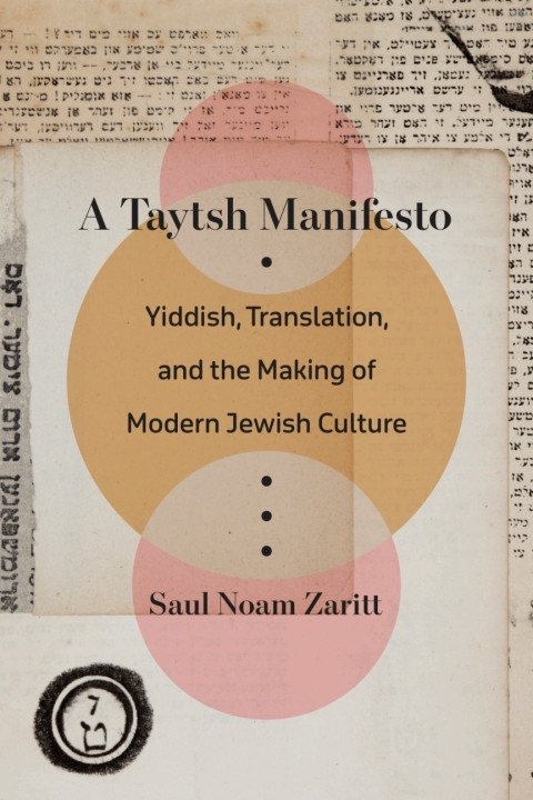 Cover image for book A Taytsh Manifesto