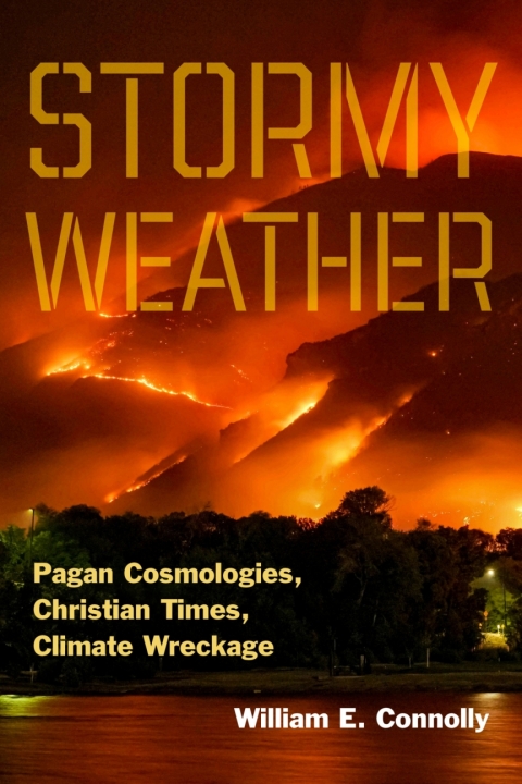 Cover image for book Stormy Weather