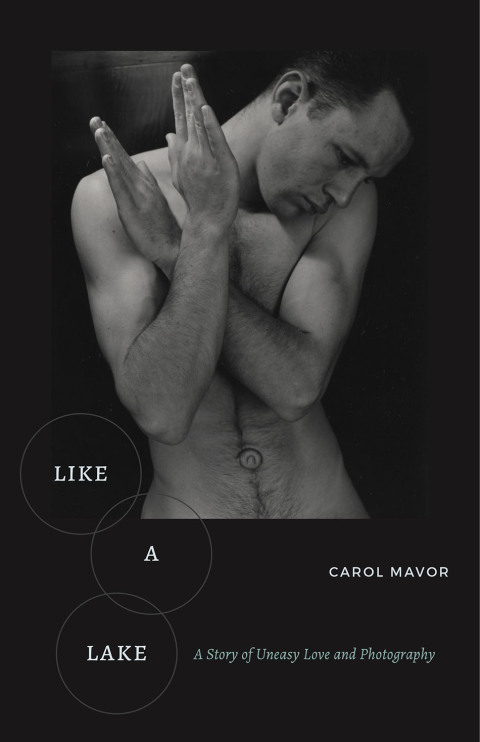 Cover image for book Like a Lake