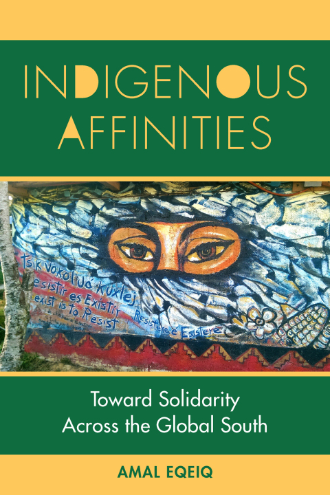 Cover image for book Indigenous Affinities
