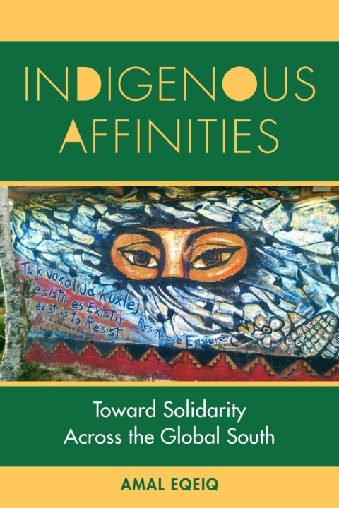 Cover image for book Indigenous Affinities