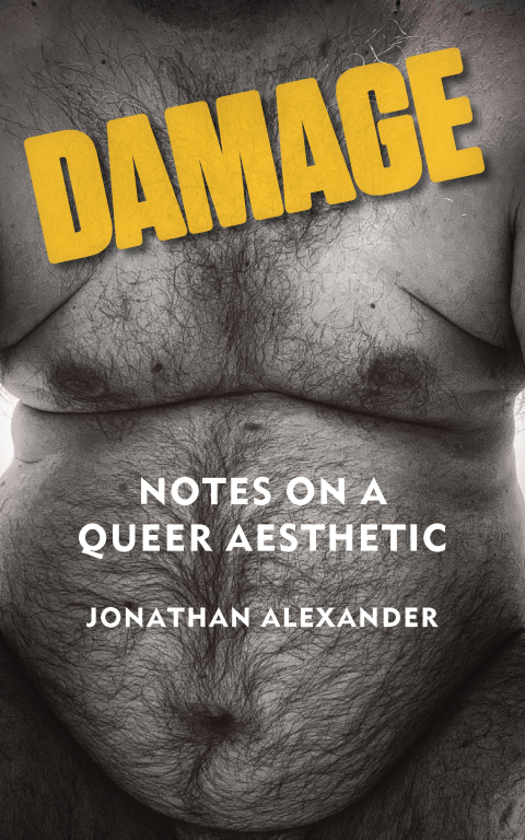 Cover image for book Damage