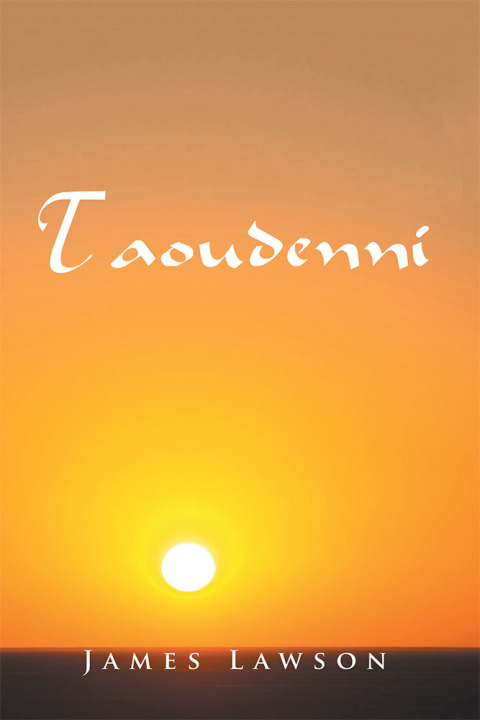 Cover image for book Taoudenni