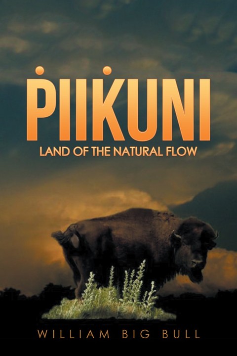 Cover image for book Piikuni