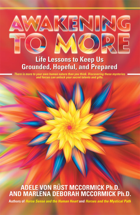 Cover image for book Awakening to More