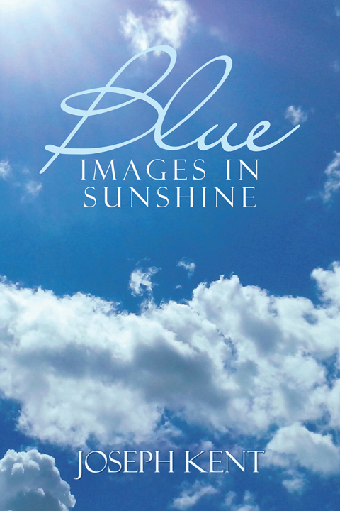 Cover image for book Blue Images in Sunshine