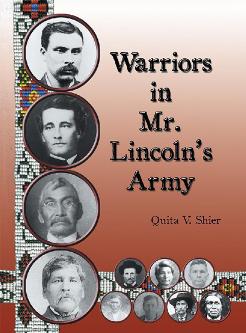 Cover image for book Warriors in Mr. Lincoln’S Army