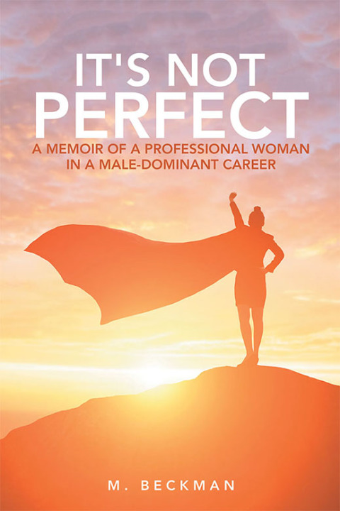 Cover image for book It's Not Perfect